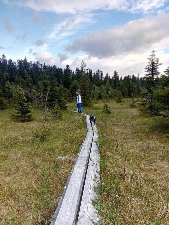 Metsorinne Kotila Zewnętrze zdjęcie